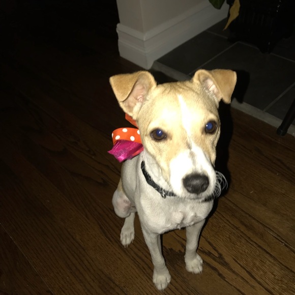 Meet your Posher, Di - Picture 2 of 2